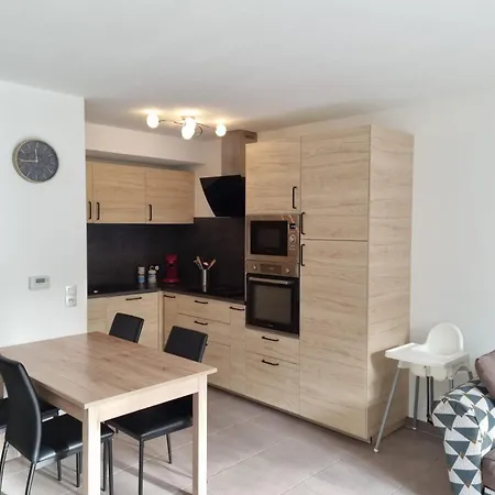 Grand Appartement Avec Garage Et Terrasse Castelnau-le-Lez Buitenkant foto